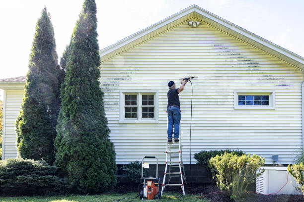 Best Solar Panel Cleaning  in Chena Ridge, AK